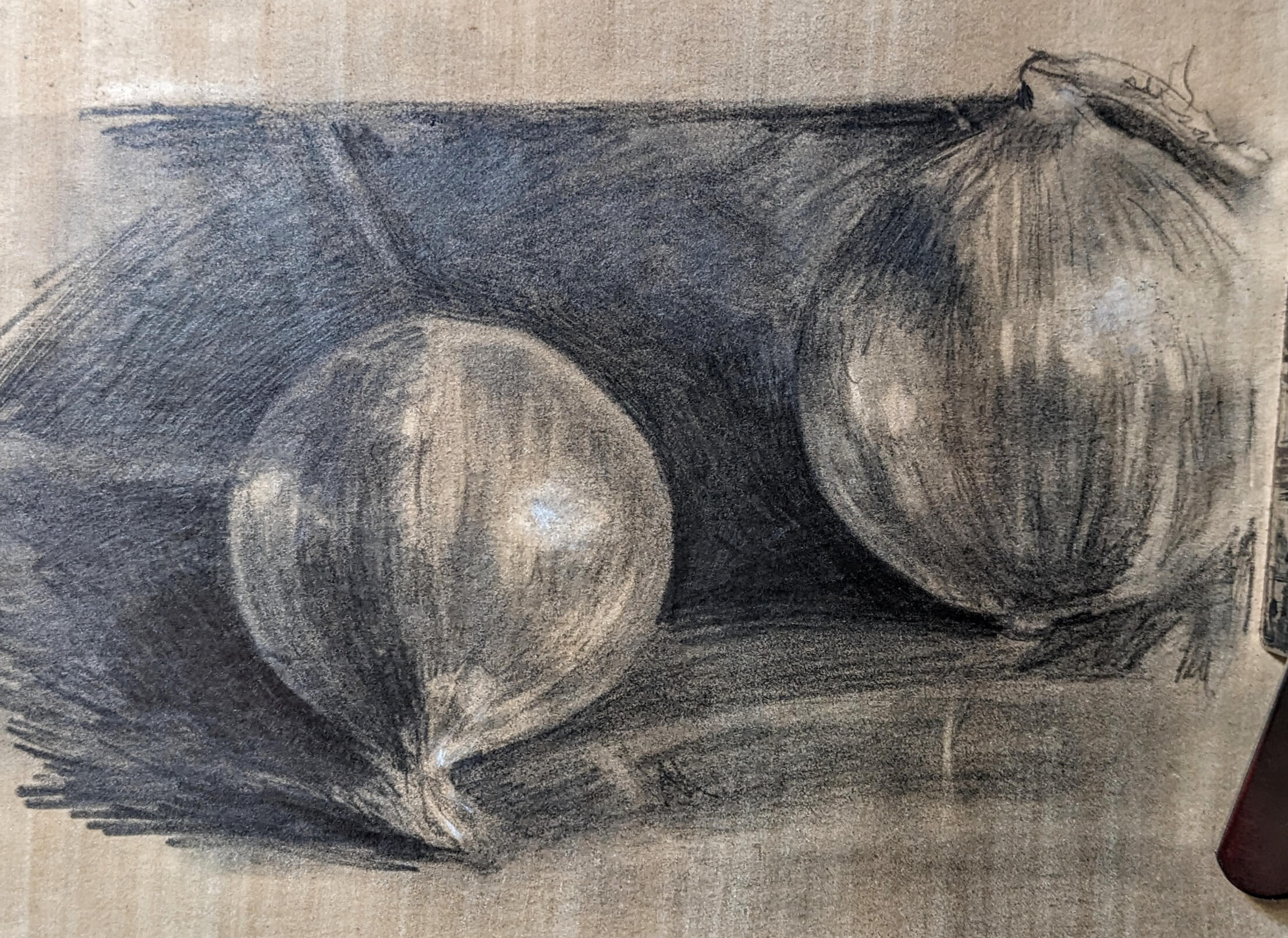 Graphite Onion Study Graphite Onion Study