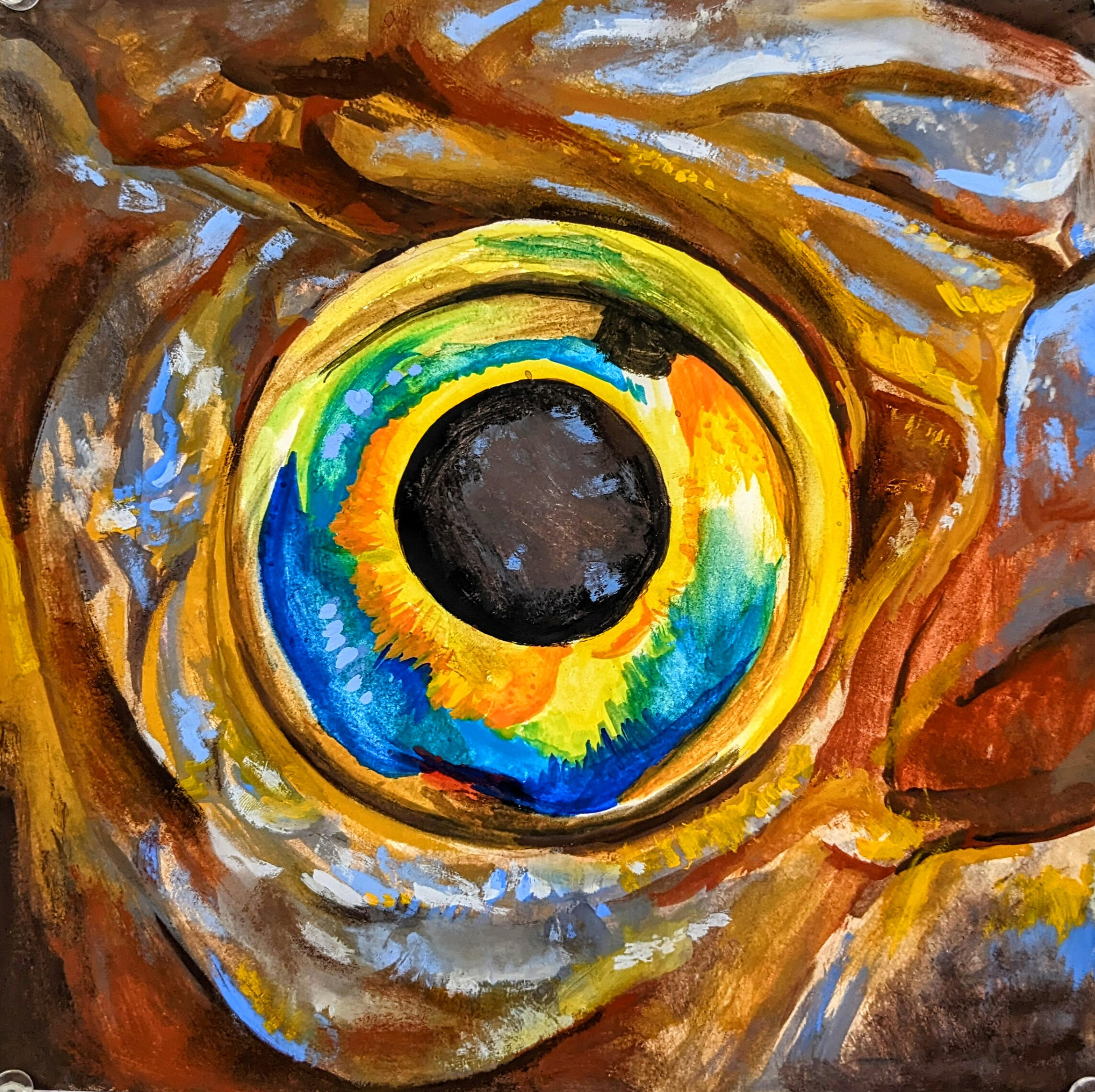 Fish Eye Study (Gouache) Fish Eye Study (Gouache)